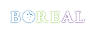 Boreal Estudio – Diseño gráfico y multimedia